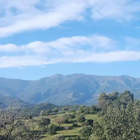 Daire E Casette Oletta (Corsica)